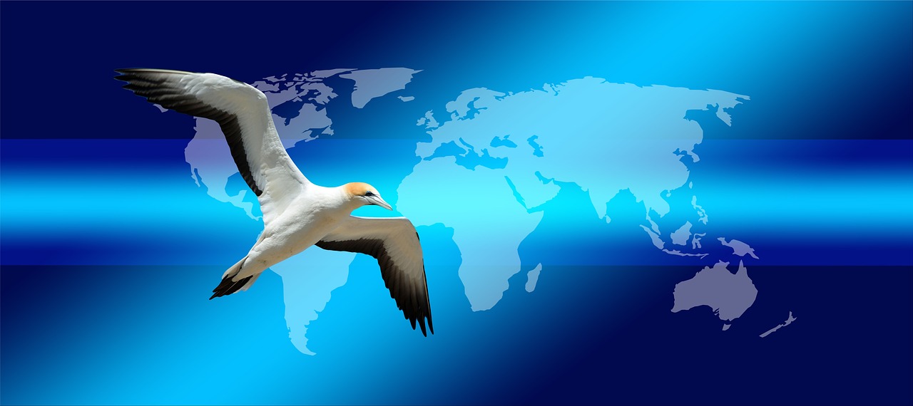 Home continents, earth, bird, globe, world, news, press, newspaper, newspapers, northern gannet, wildlife, flying, freedom, journalism, headlines, newsletter, information, read, paper, article, blog, magazine, icon, mail, e-mail, e mail, electronic mail, communication, digital, advertising, broadcast, letter, internet, notification, nature, newsletter, newsletter, newsletter, newsletter, newsletter, blog
